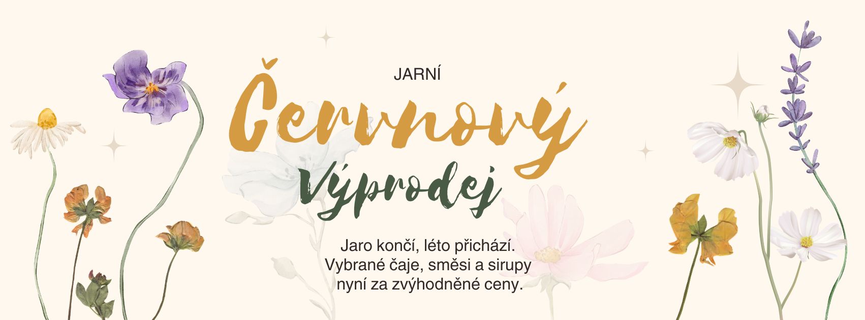 Vyprodej banner-2